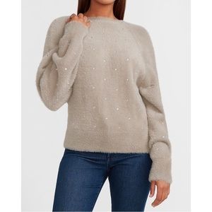 EXPRESS Cozy Faux Fur Embellished Crewneck Sweater